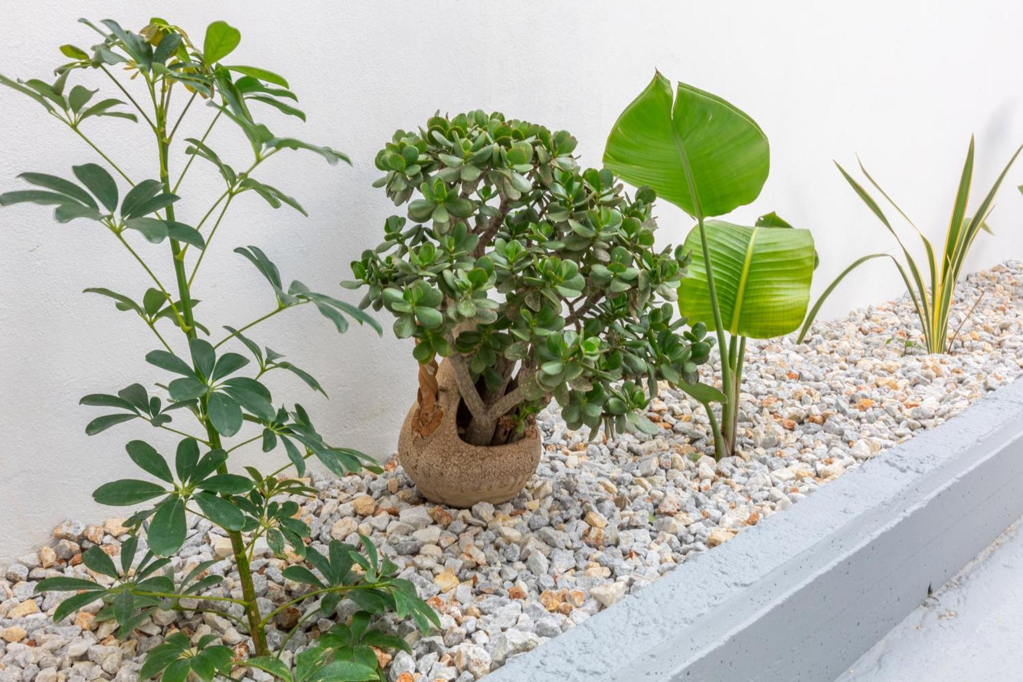 Garden Luxury Apartment Heraklion Exteriör bild
